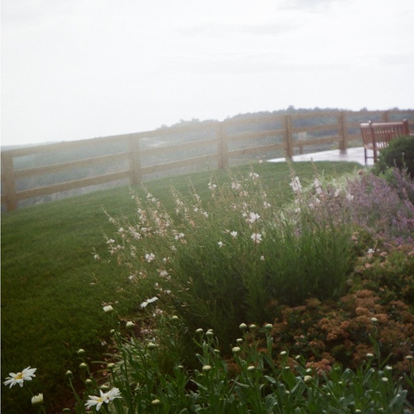 Meet your Posher, Samantha - Picture 3 of 17